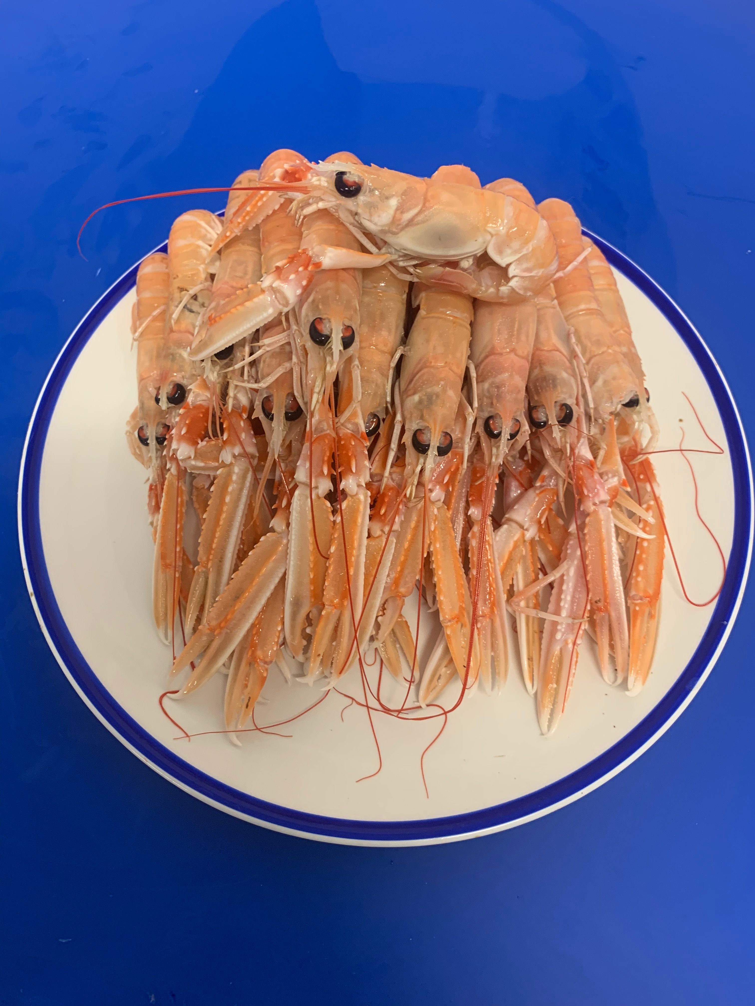 Medium Galway Bay Prawns Buy Online Free Nationwide Delivery