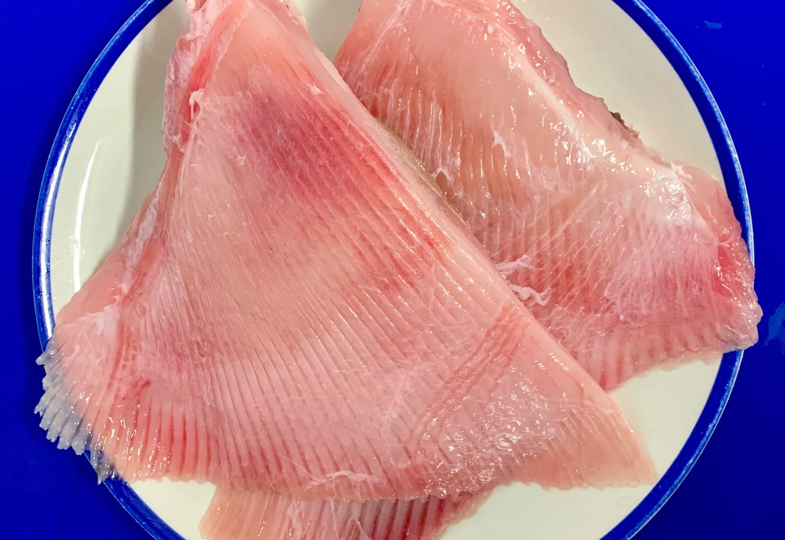 2KG Ray wings