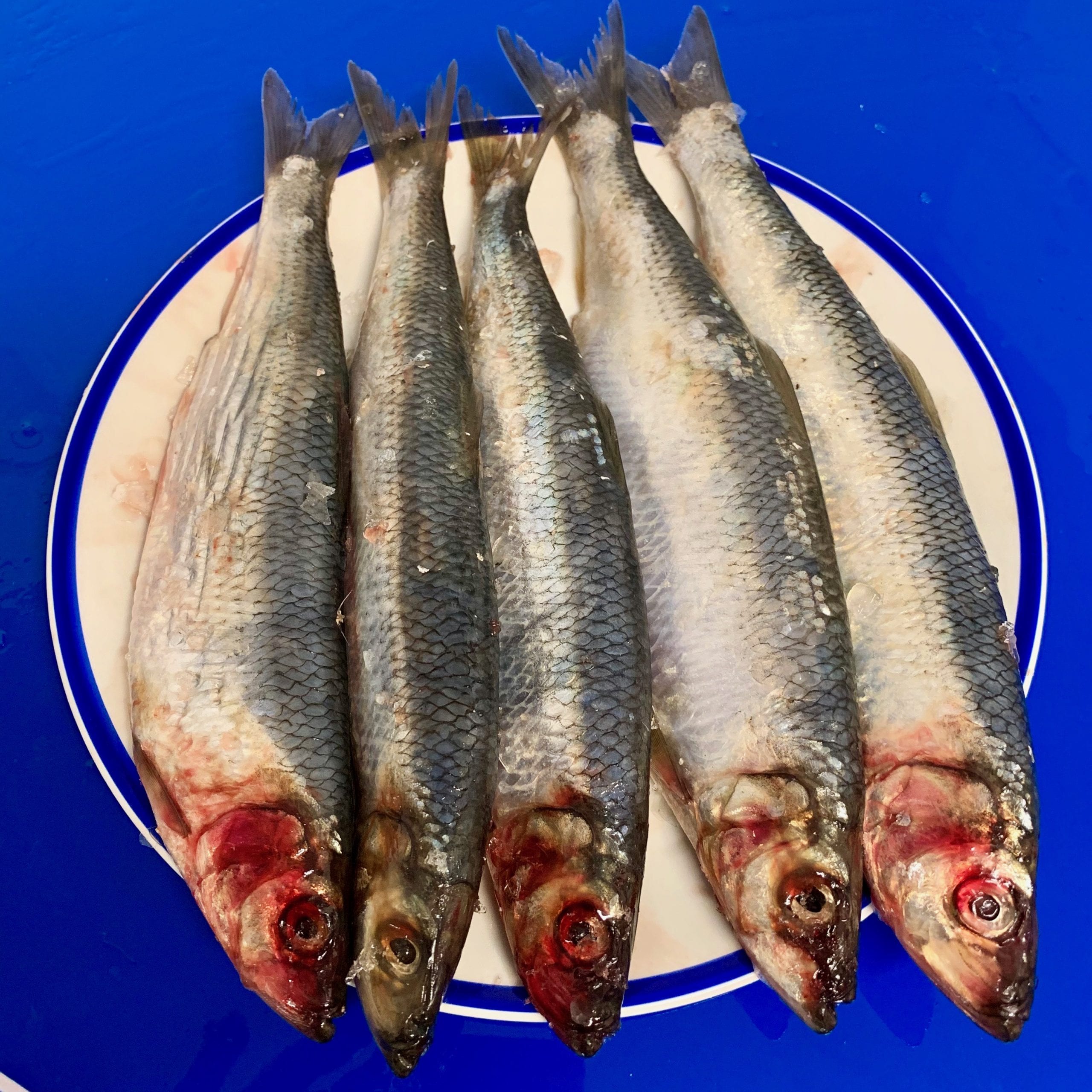 whole herring Eat More Fish Nationwide Delivery Ireland's Online