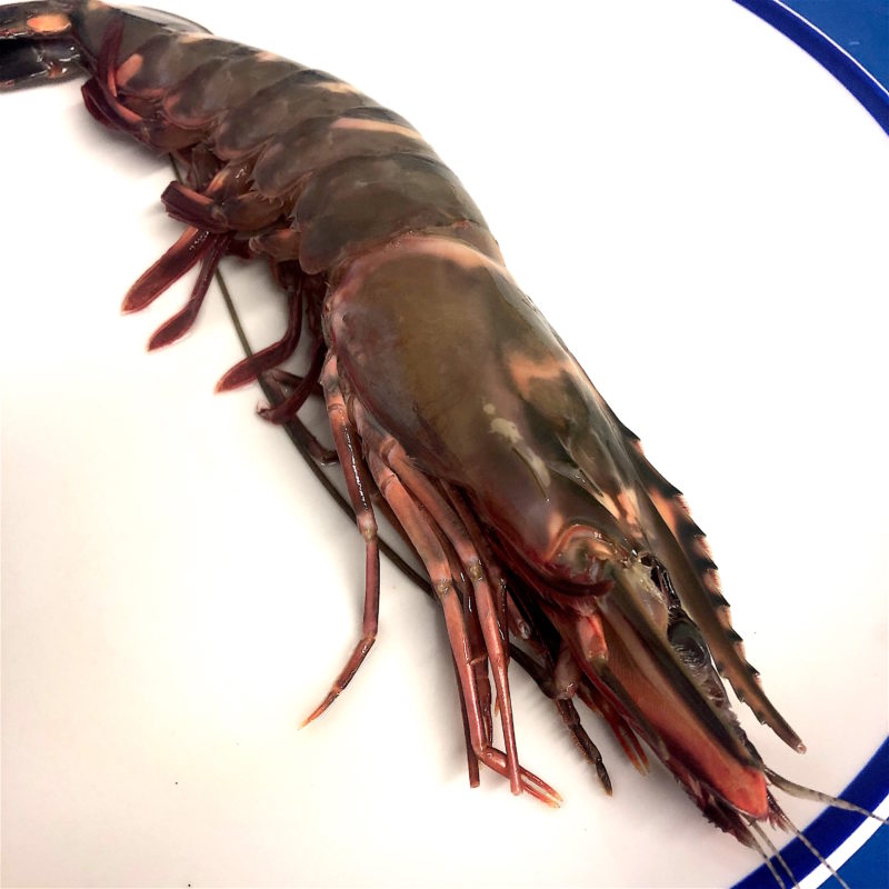 Xxl Tiger Prawns Each Defrosted Buy Online Free Nationwide Delivery