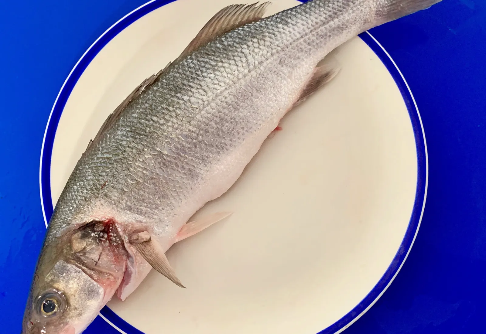 Fresh Whole Sea Bass (Cleaned)