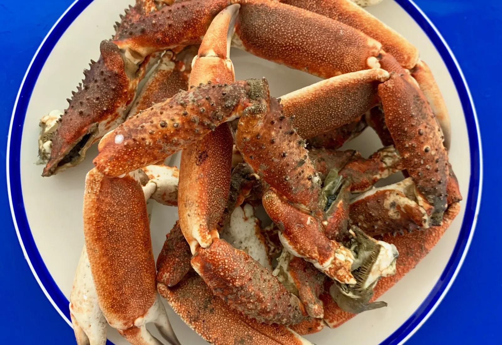 Fresh Spider Crab Claws ( Kg)