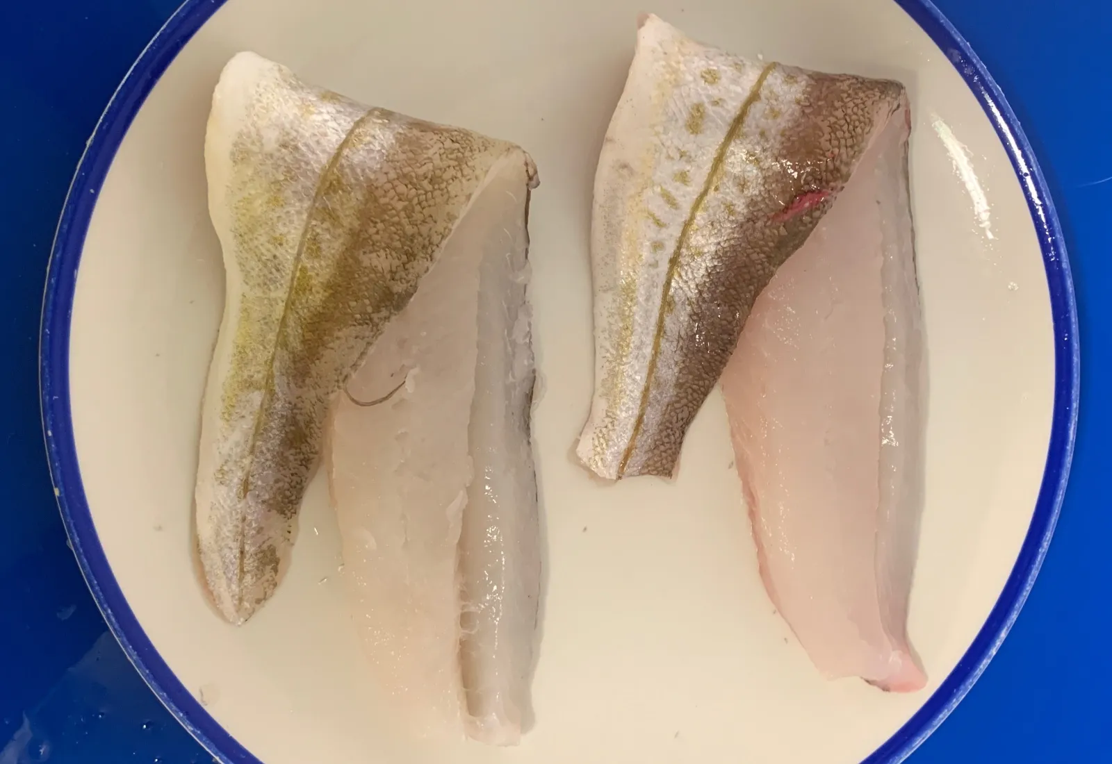 Fresh Whiting Fillets
