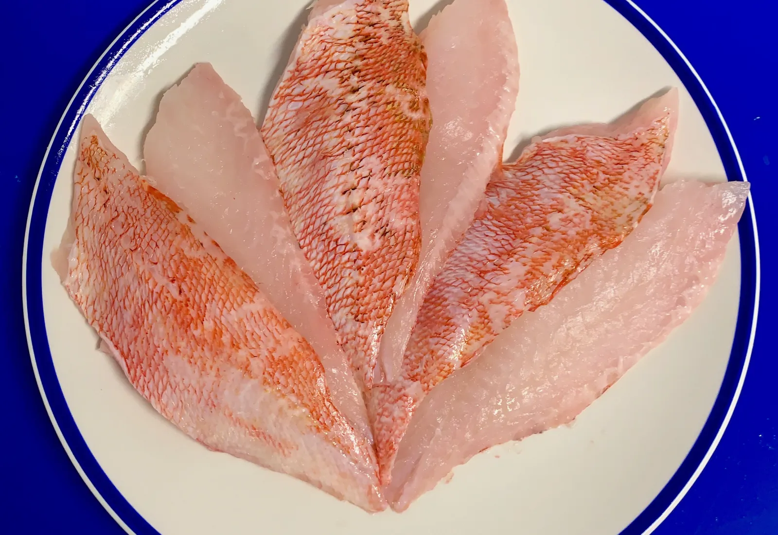 Fresh Blue Mouth Fillets