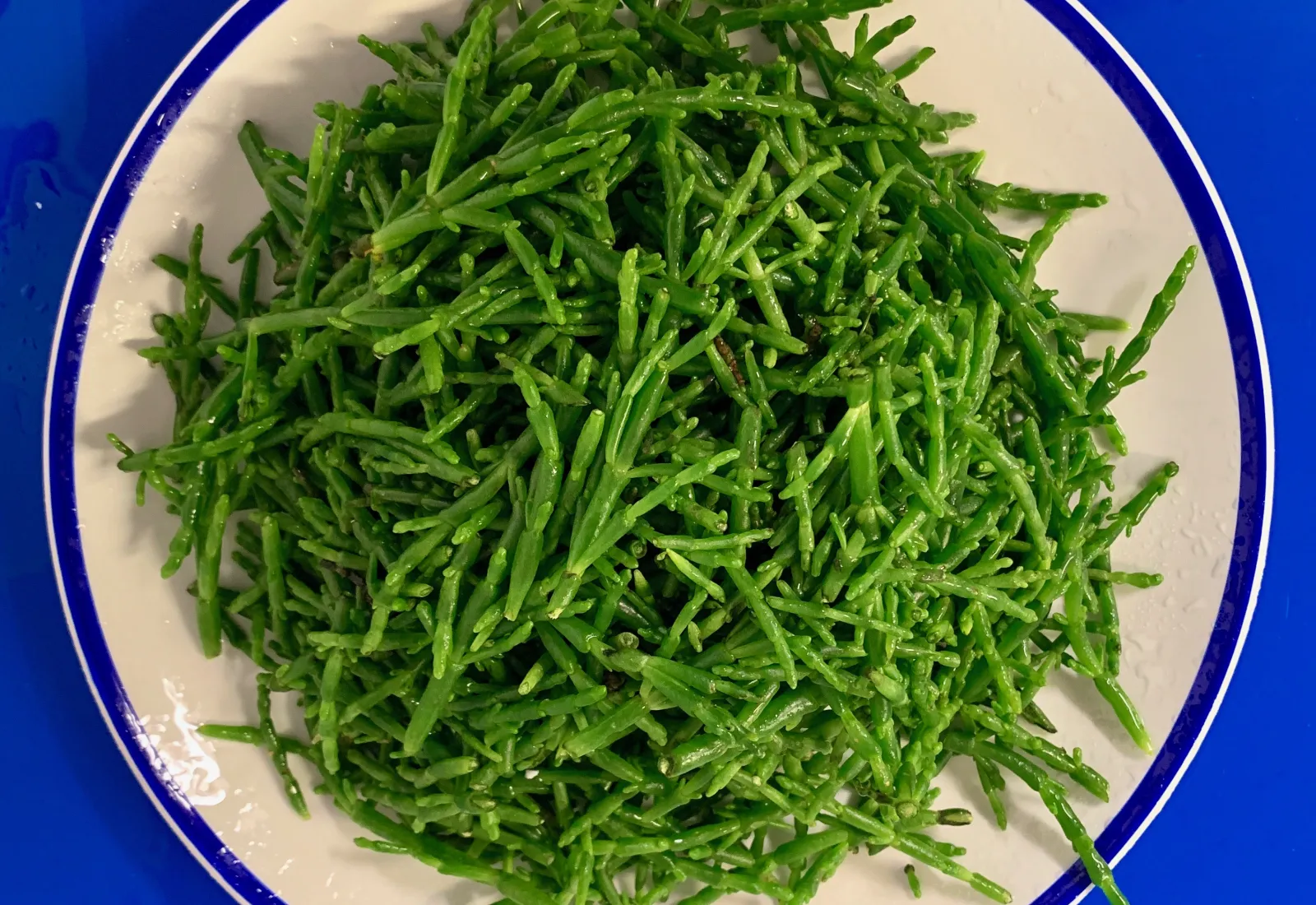 French Samphire