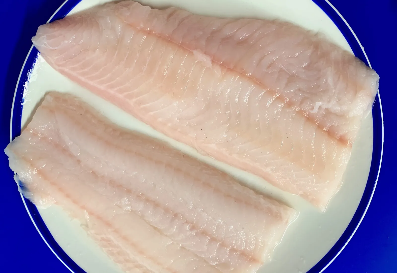 Fresh Wolf Fish Fillets