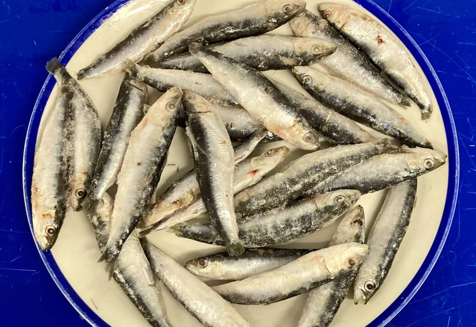 Irish Sprats (White baits)