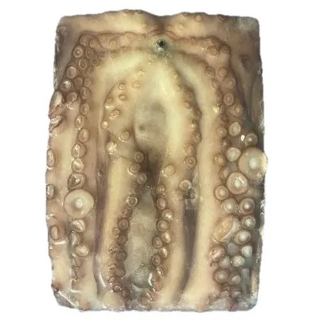 Medium Frozen Octopus (2.5 -3 Kg)