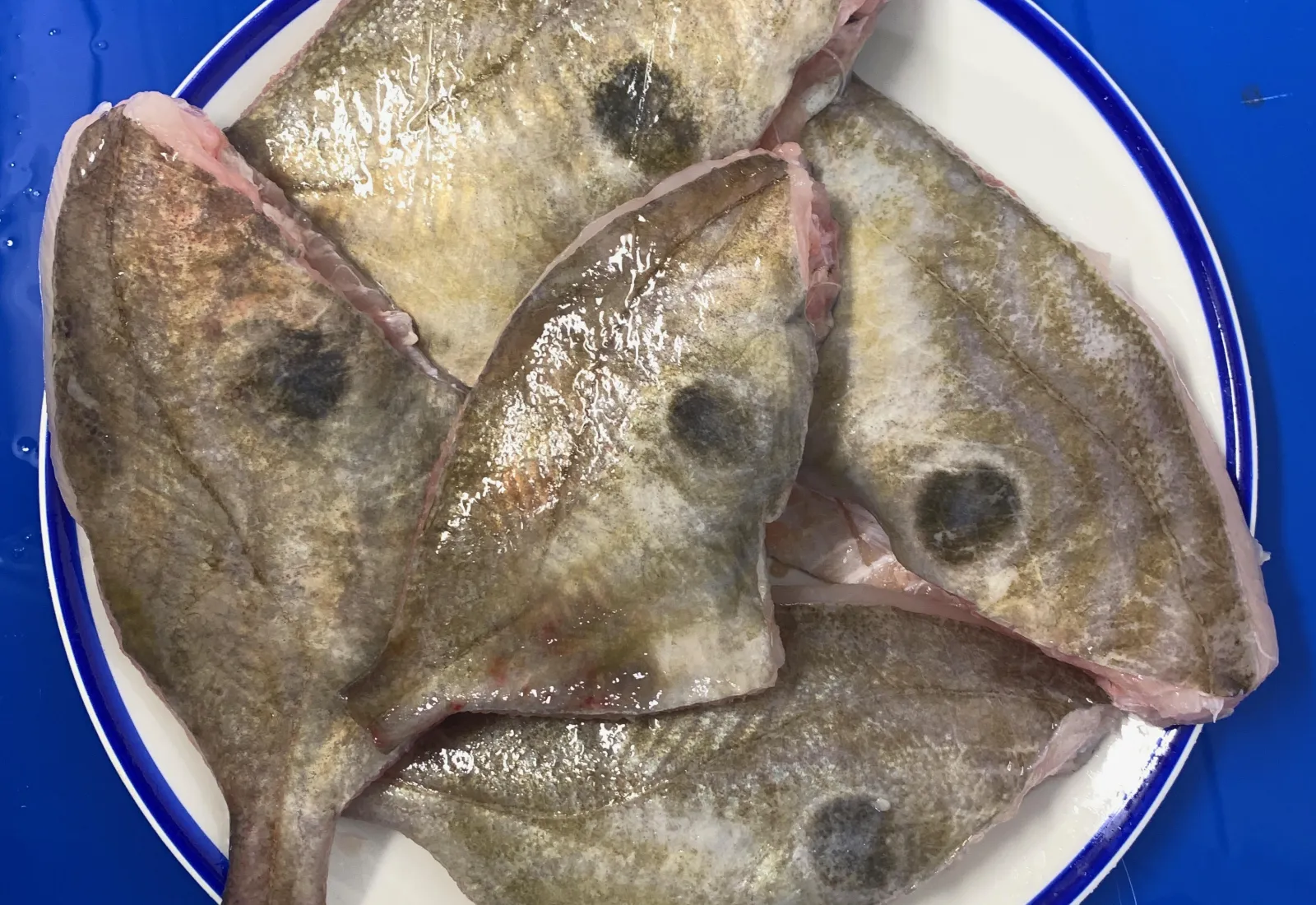 Small John Dory (Trimmed + Headless)