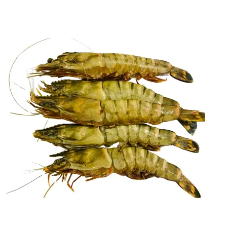 One Kg XXL Wild King Prawns / Black Tiger