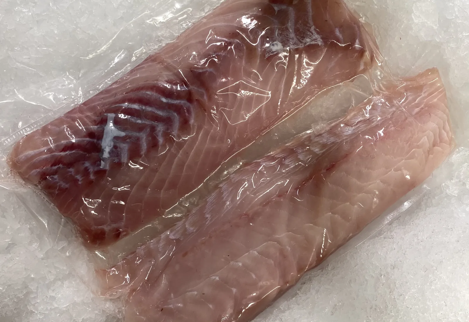 2KG Coley fillets