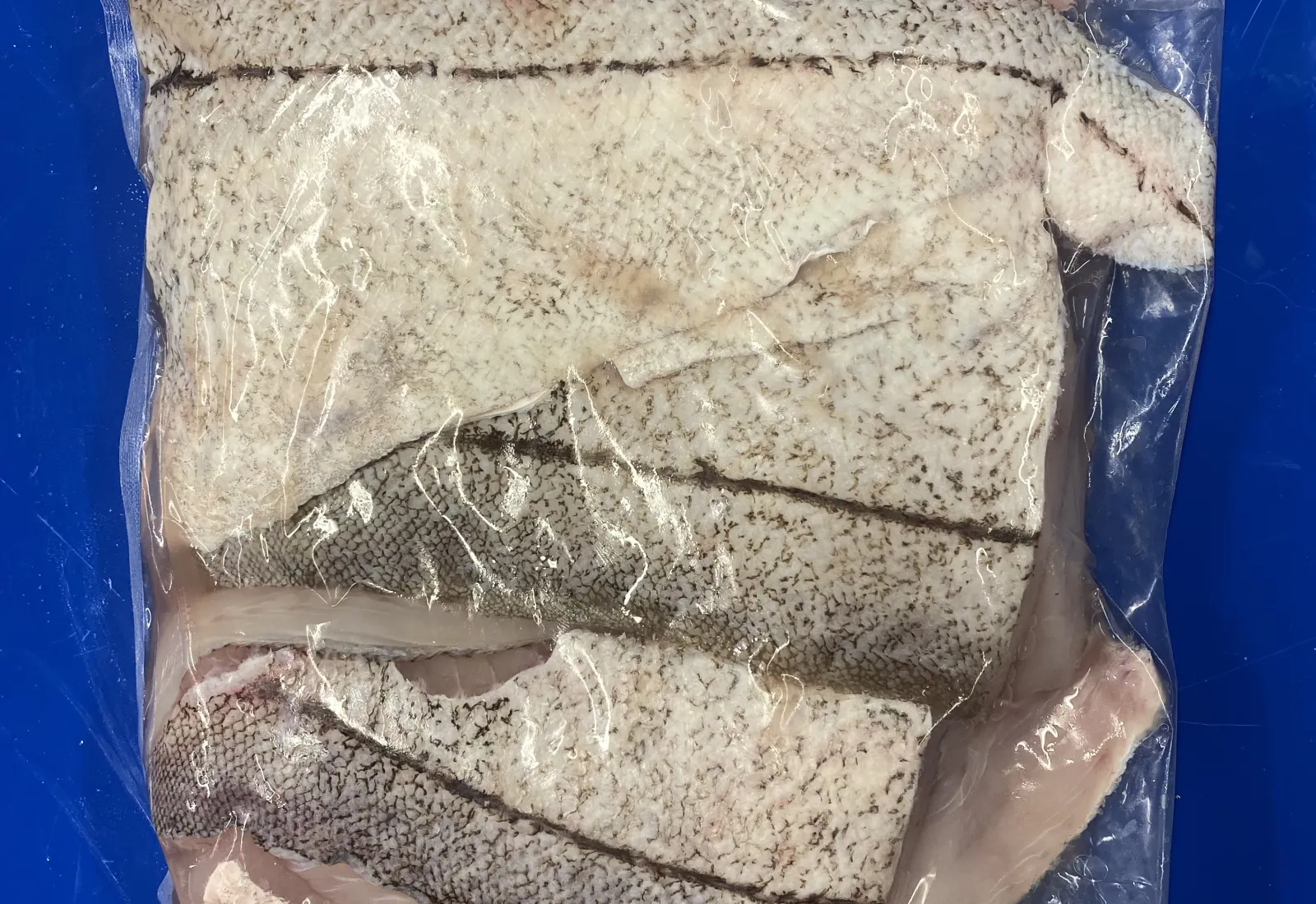 2KG Haddock fillets