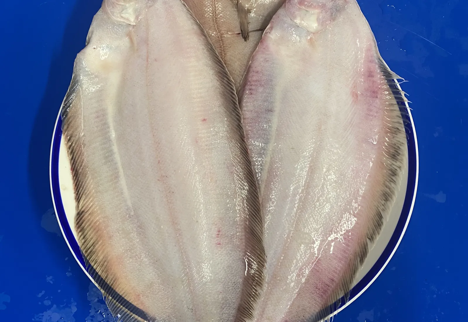 Fresh Whole White Sole