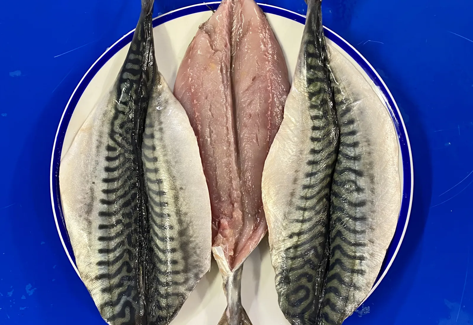 Fresh Mackerel Fillets