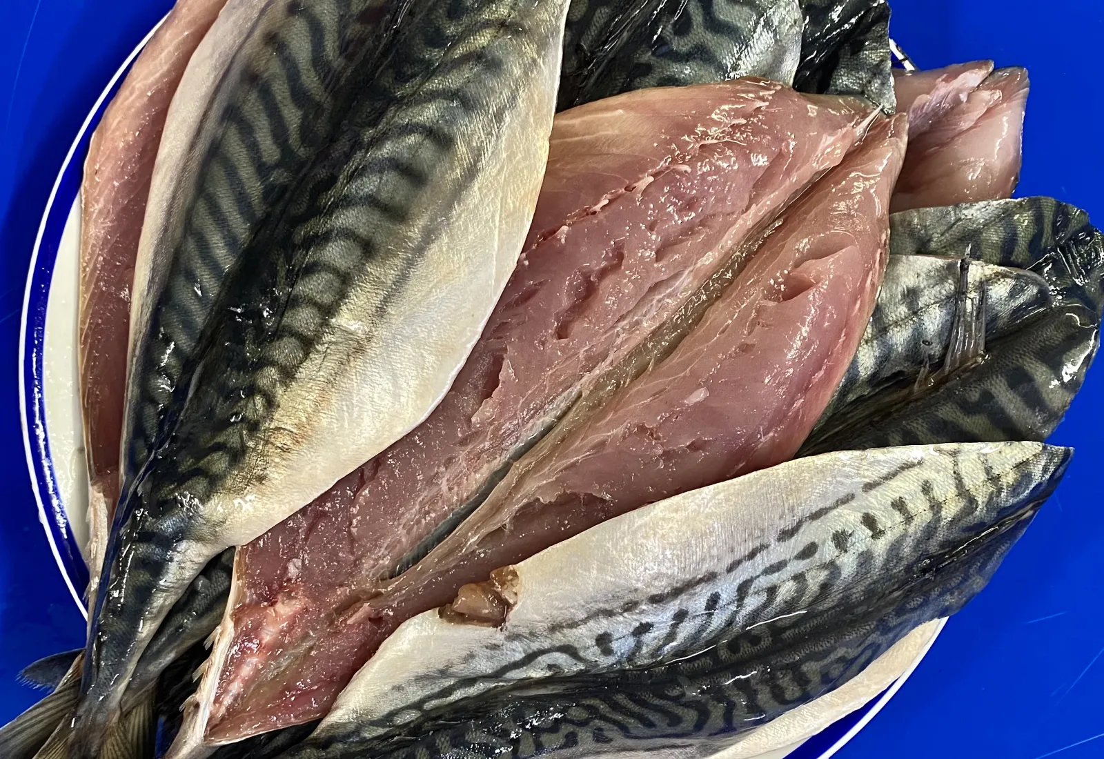 2 KG D€AL Fresh Mackerel fillets