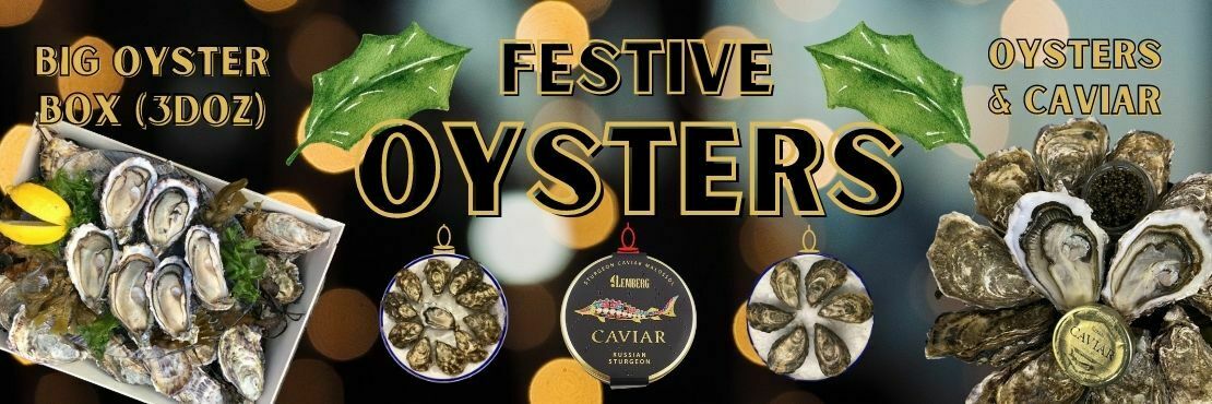 Oyster for Christmas-banner-image