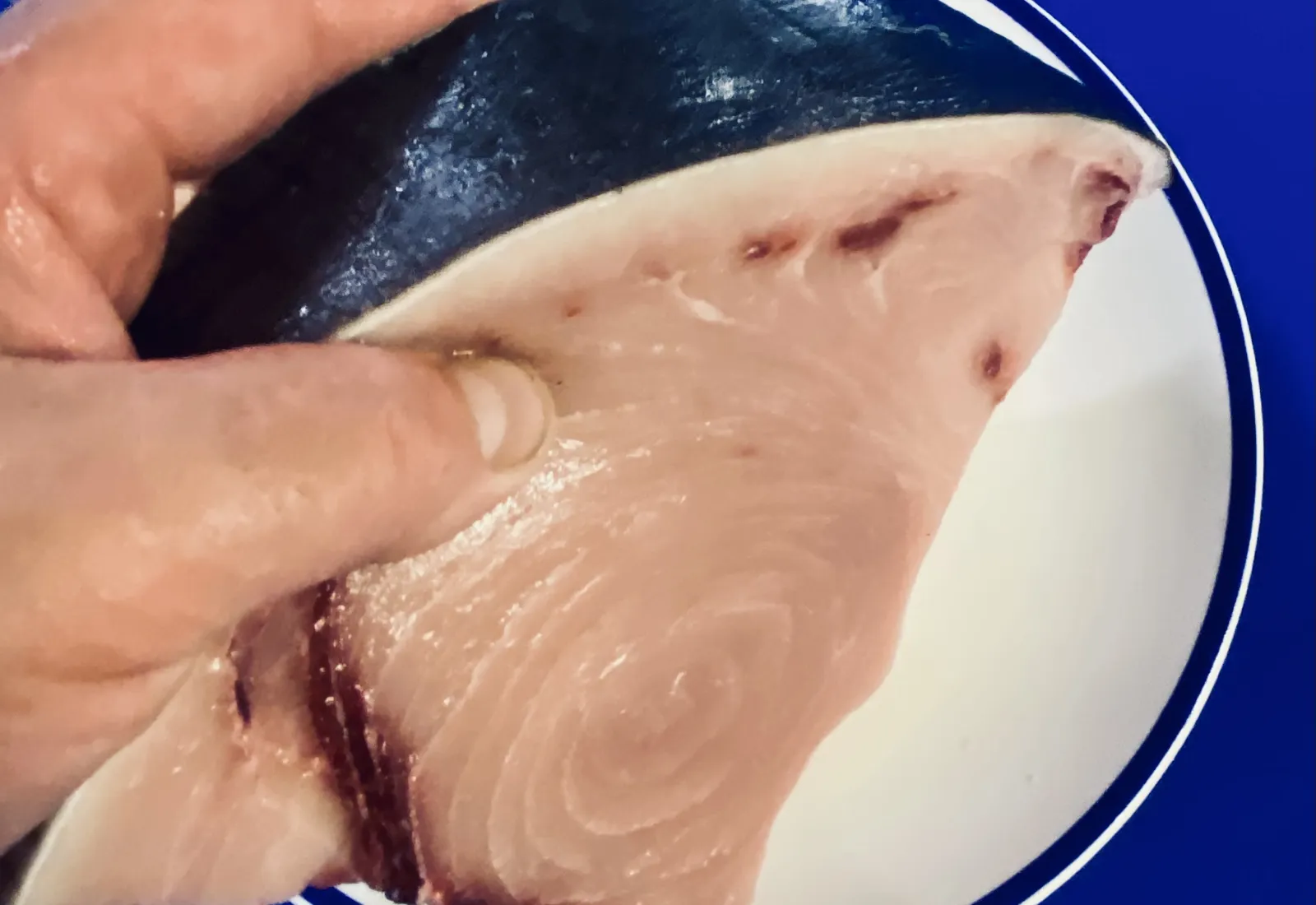 Line caught Swordfish