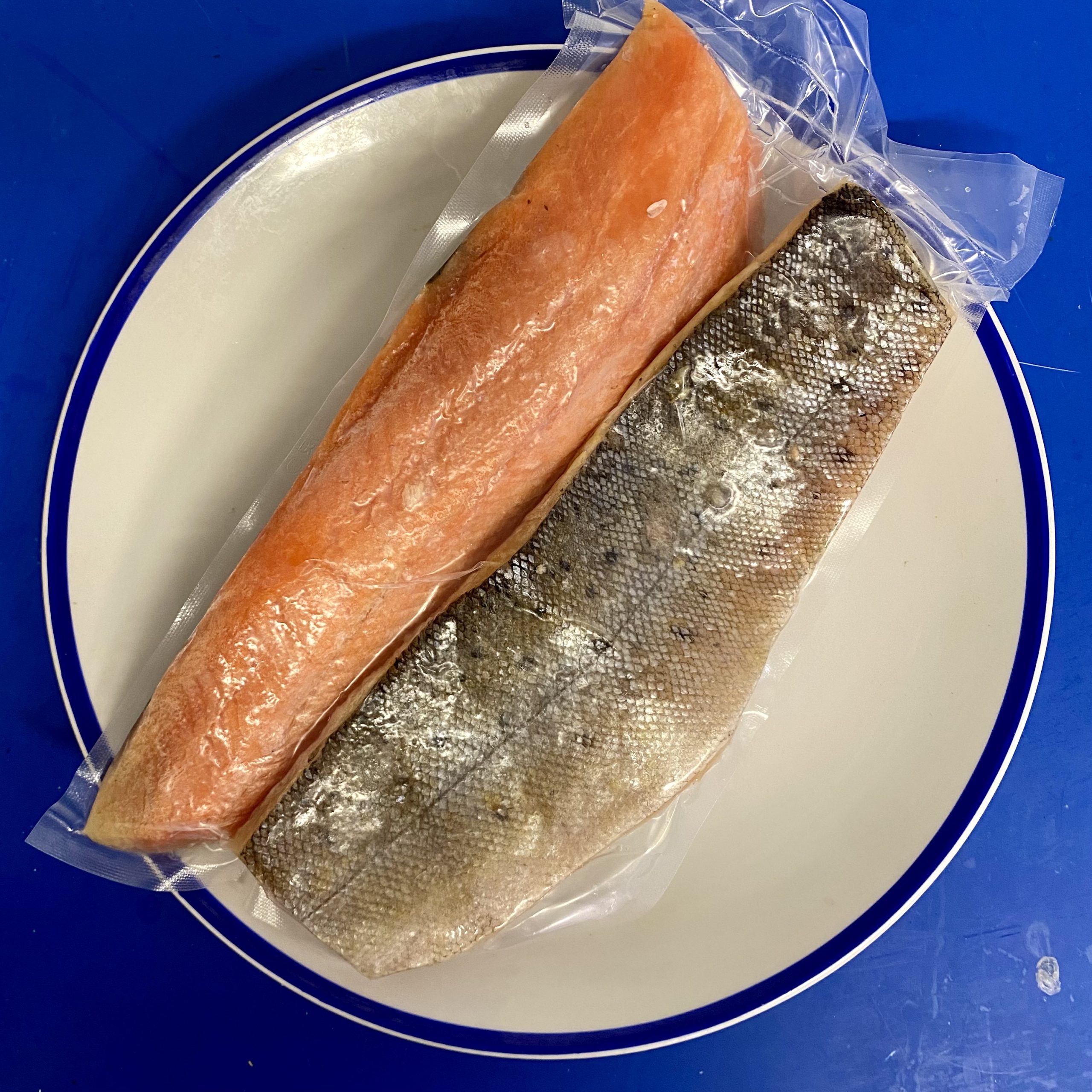 Frozen Wild Trout Fillets (2 fillets ) | Eat More Fish | Nationwide ...