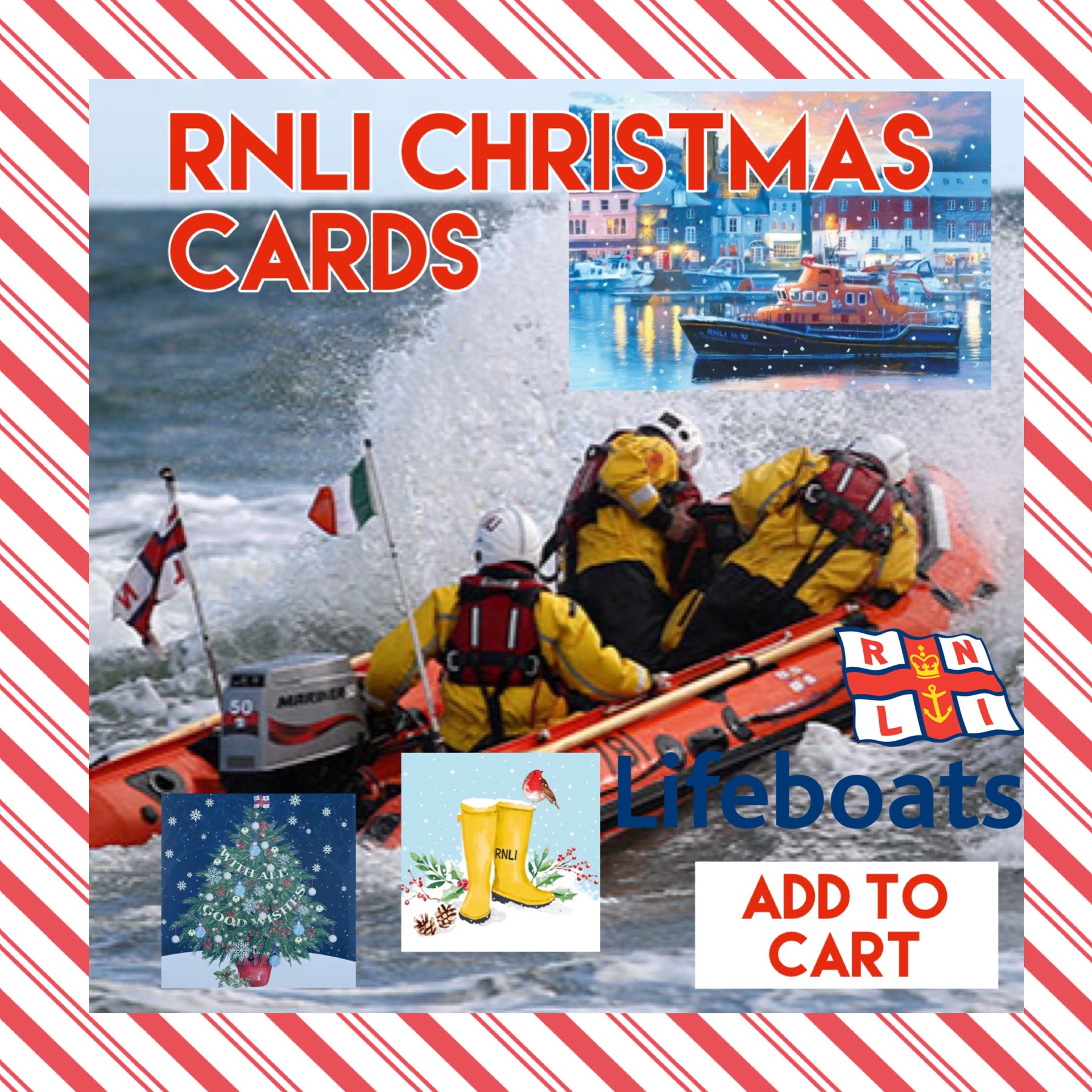 BUY... RNLI CHRISTMAS CARDS Eat More Fish Nationwide Delivery