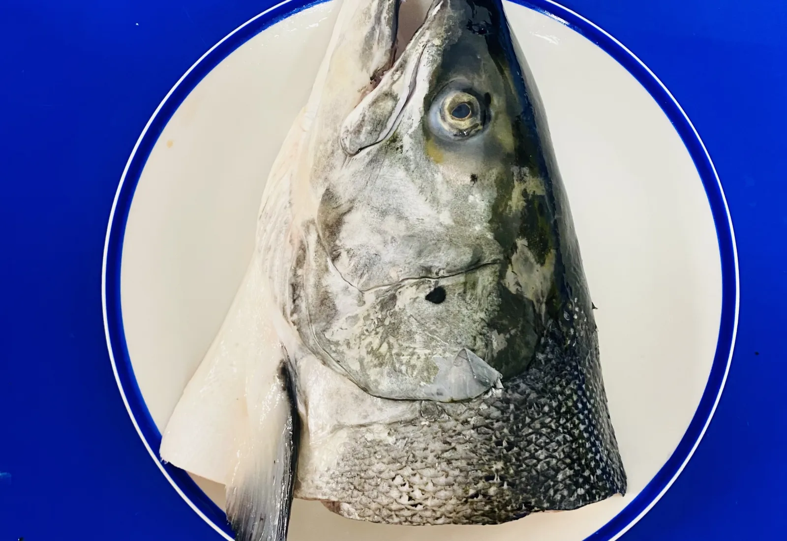 Split meaty Salmon head