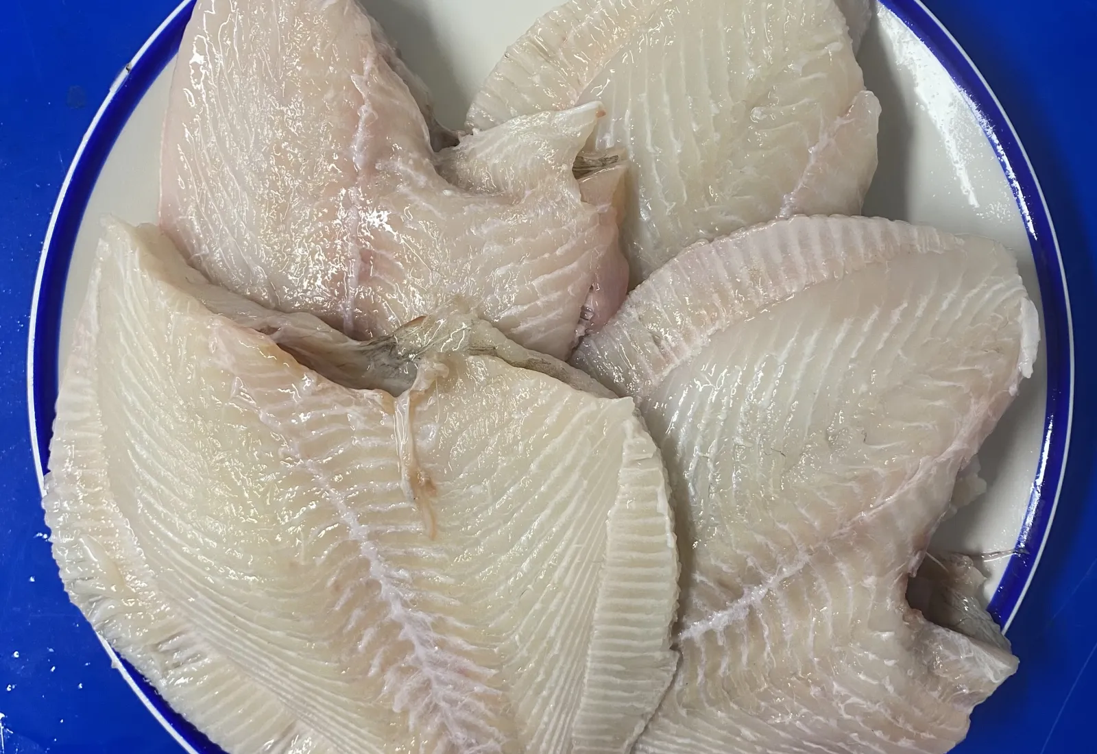 Small Pan ready Turbot