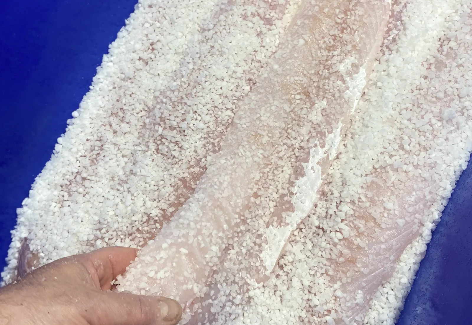 Salt Ling fillet