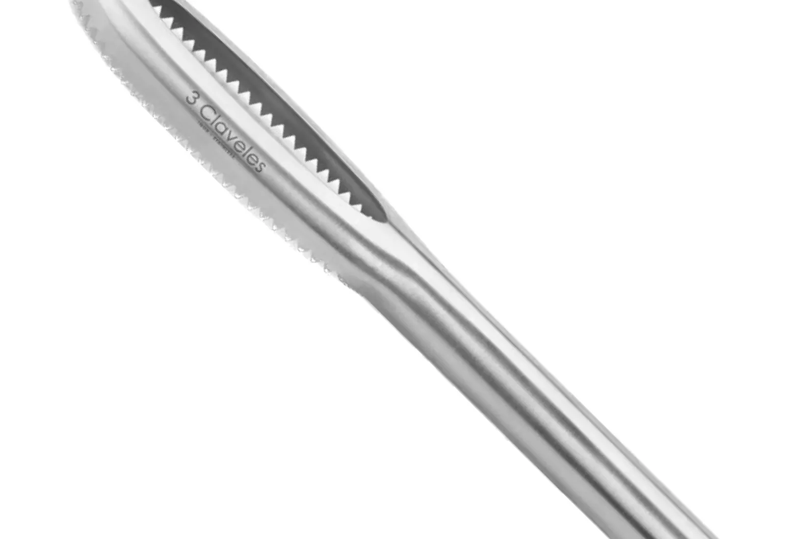 Fish Scaler