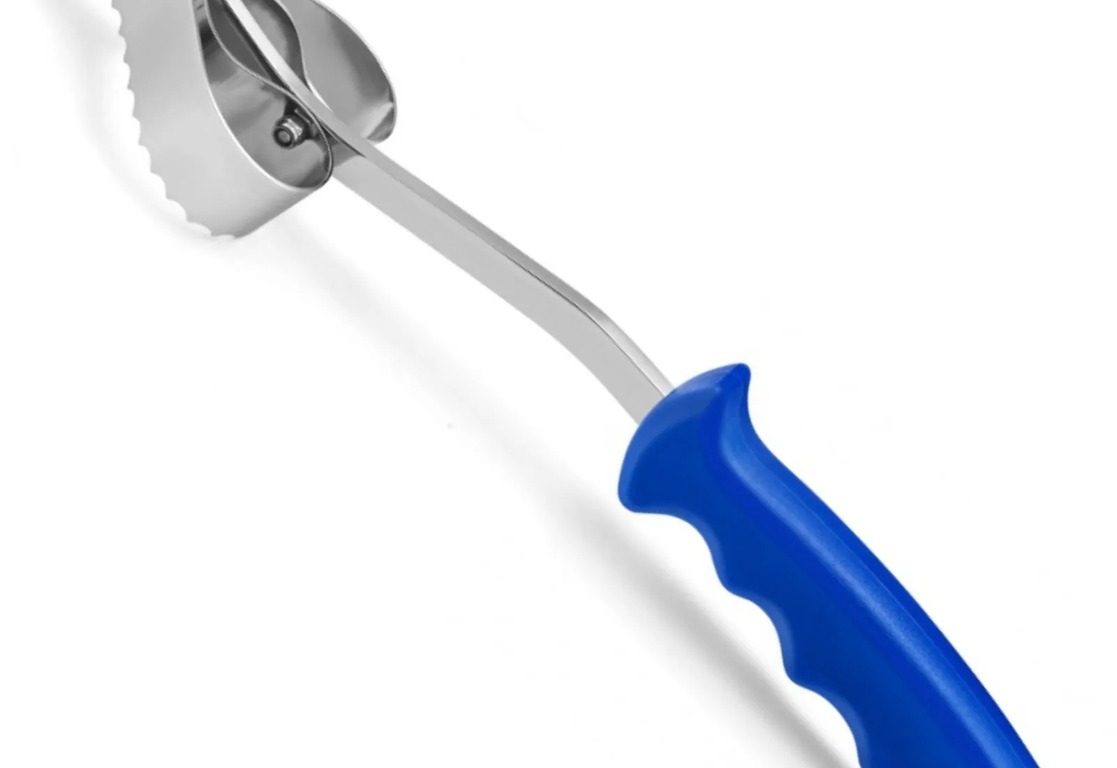 Professional Scaler
