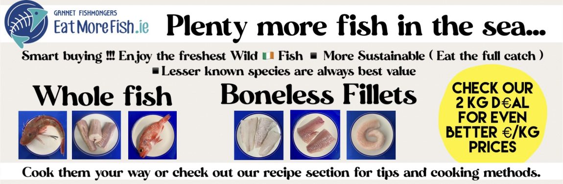 Plenty more fish-banner-image