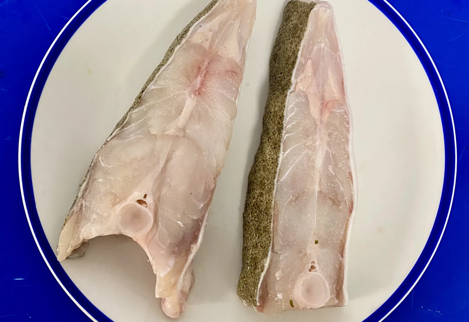 Premium Wild Turbot cutlets