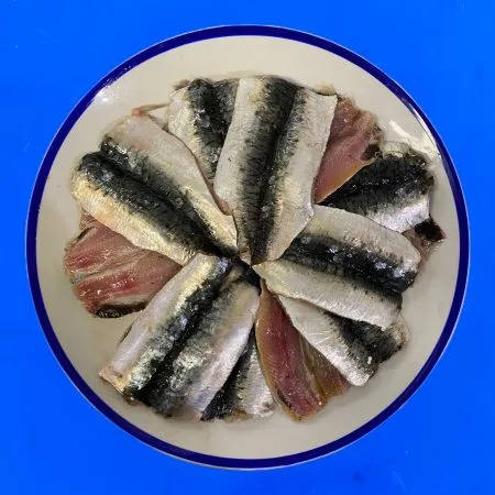 Fresh Sardines fillets