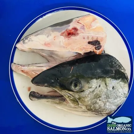 Split Salmon Head (kg)