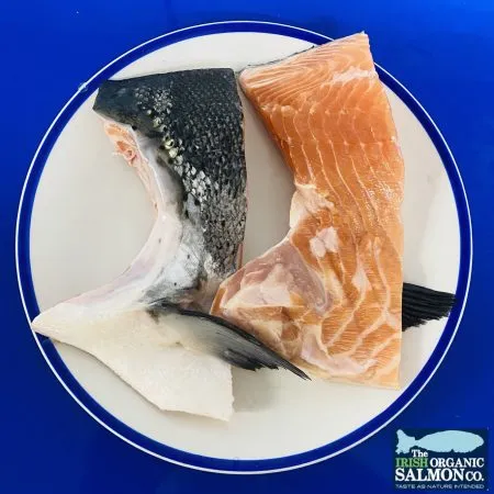 Meaty Salmon collars