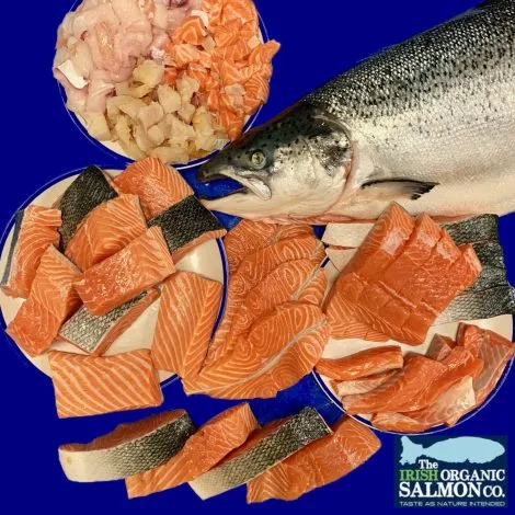 BIG D€AL 9 kg XXL Salmon butchered