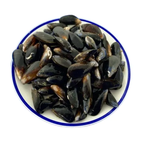Live Kg Rope Mussels