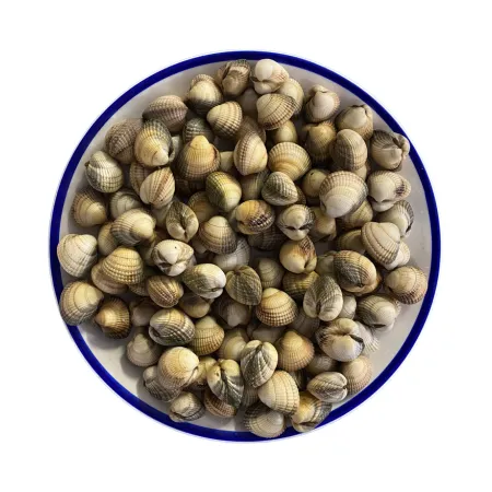 Live Cockles