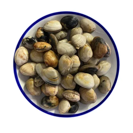 Connemara Clams