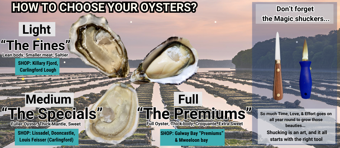 Oysters-banner-image