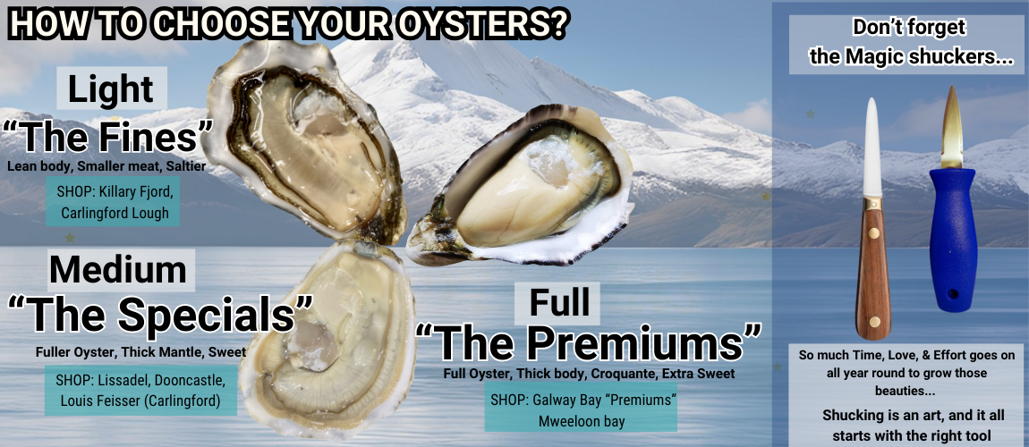 Christmas Oysters-banner-image