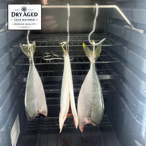 Dry aged King Fish fillets