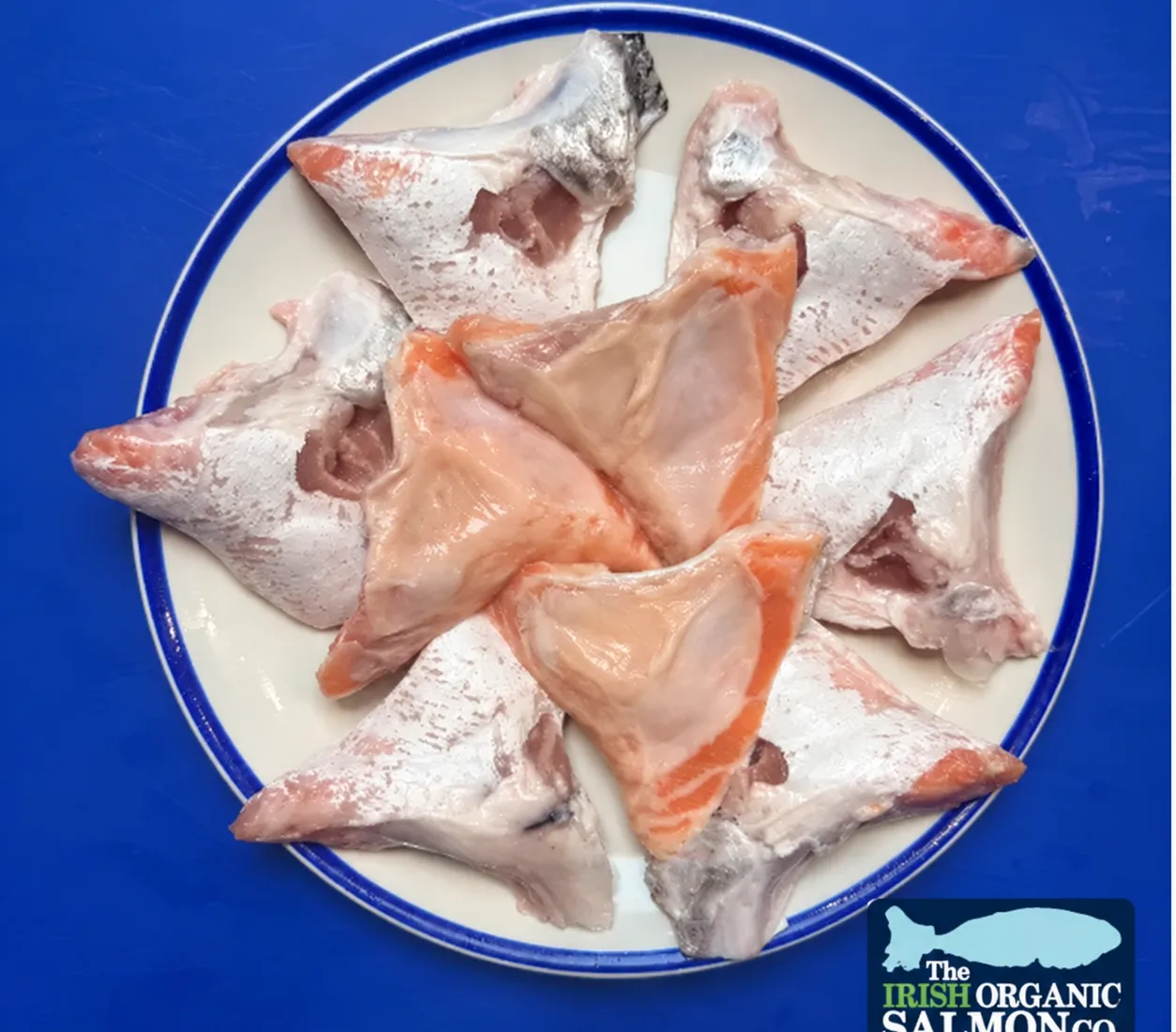 Salmon Collars